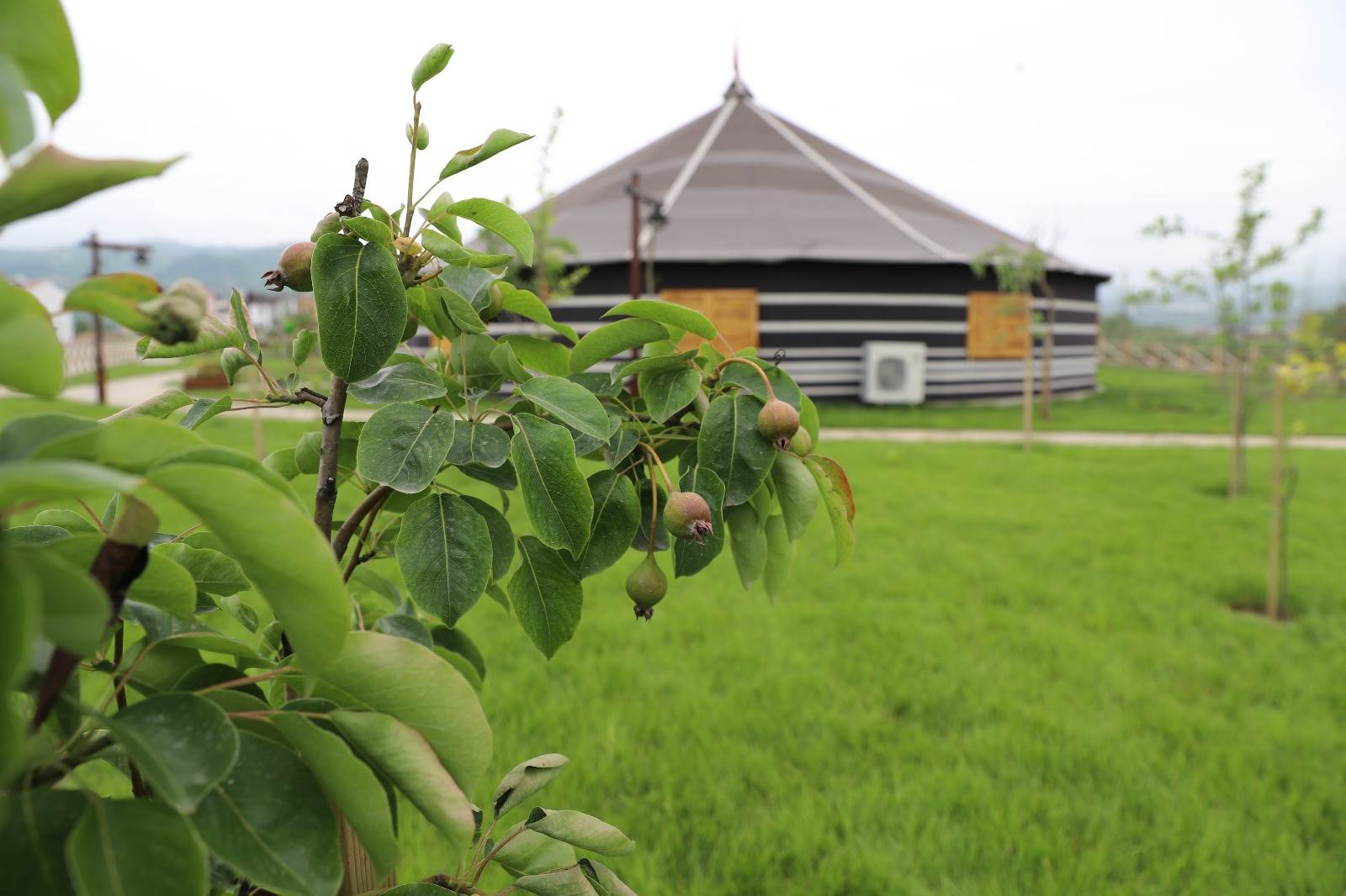 MELET MEYVE BAHÇESİNE DÖNÜŞTÜ